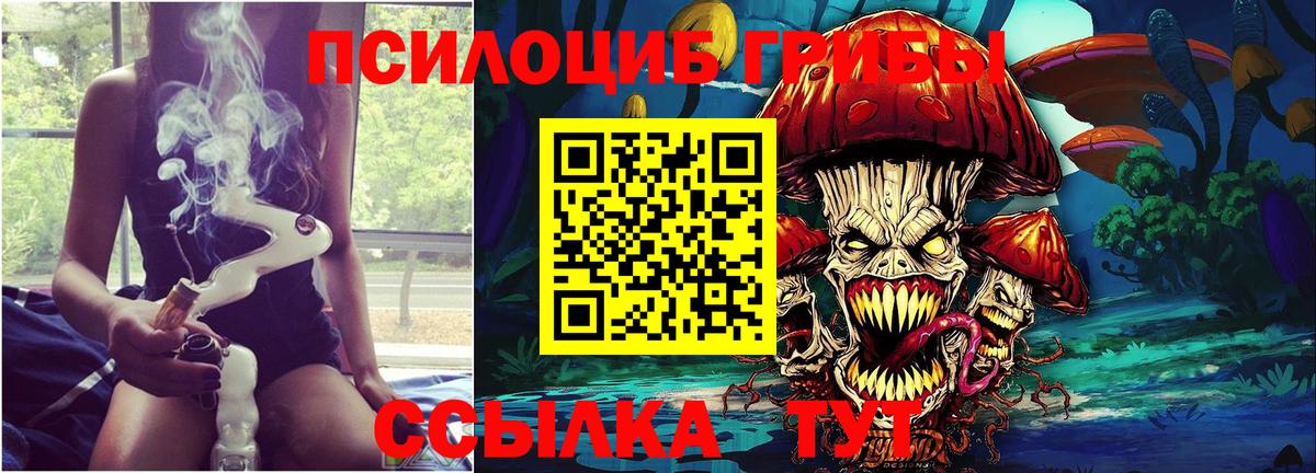 Галлюциногенные грибы GOLDEN TEACHER Заводоуковск